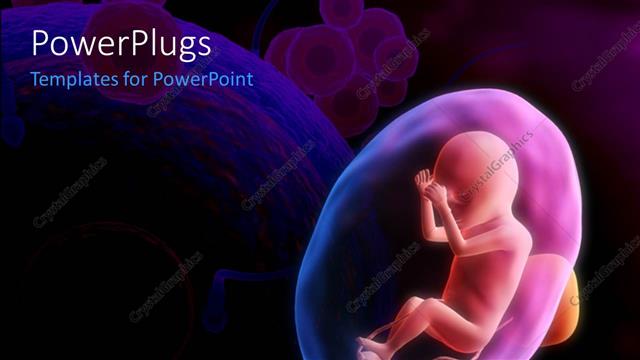  Presentation with sperm - A human fetus with eggs and sperm