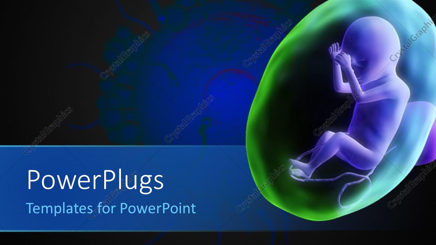 Premium Template for PowerPoint & Google Slides 