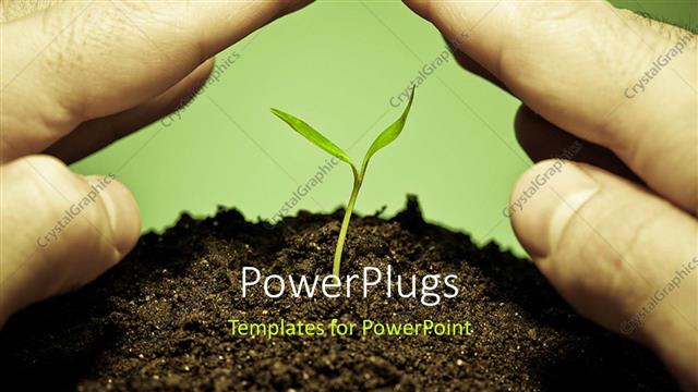  Presentation with seedling - Human hands protecting a new green seedling with green color