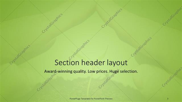 Section Header presentation slide layout