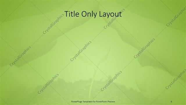 Title Only presentation slide layout