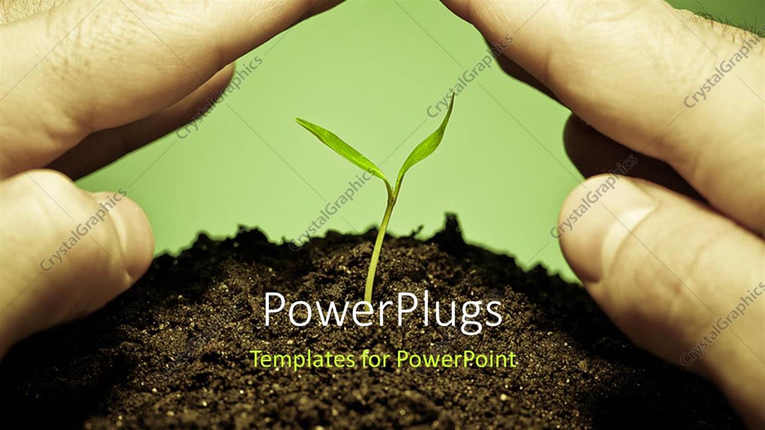 Premium Template for PowerPoint & Google Slides 