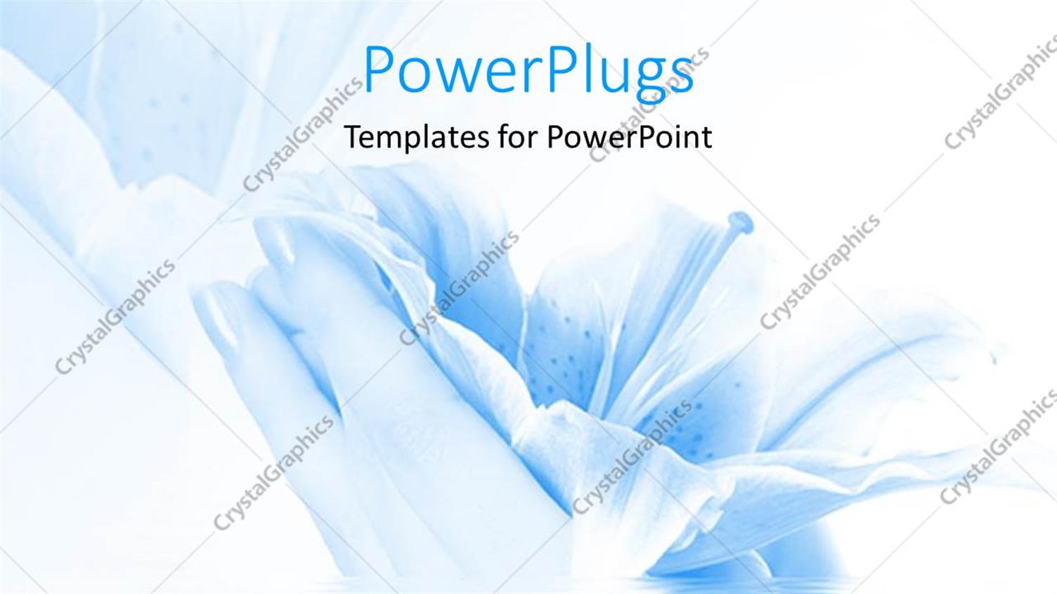 Premium Template for PowerPoint & Google Slides 