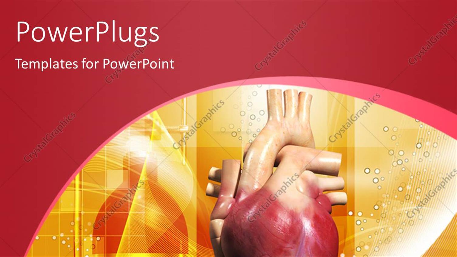 Premium Template for PowerPoint & Google Slides 