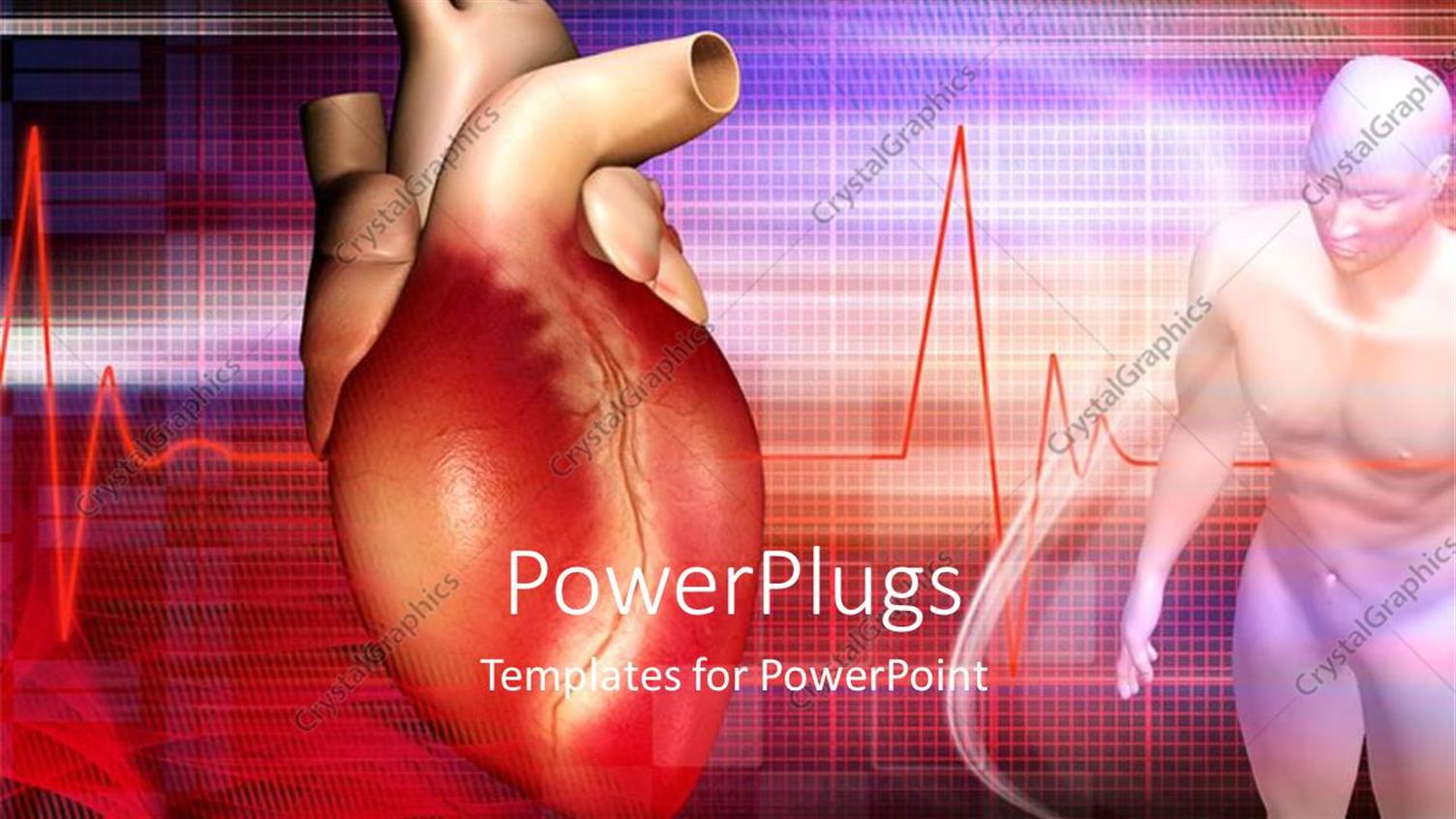 Premium Template for PowerPoint & Google Slides 