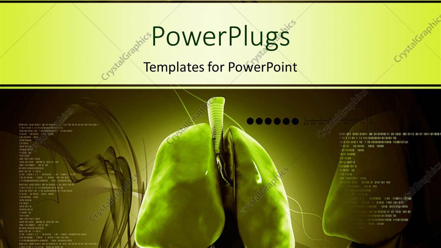 Premium Template for PowerPoint & Google Slides 