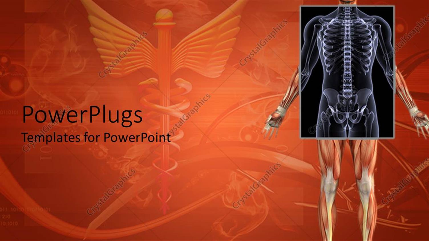 Premium Template for PowerPoint & Google Slides 