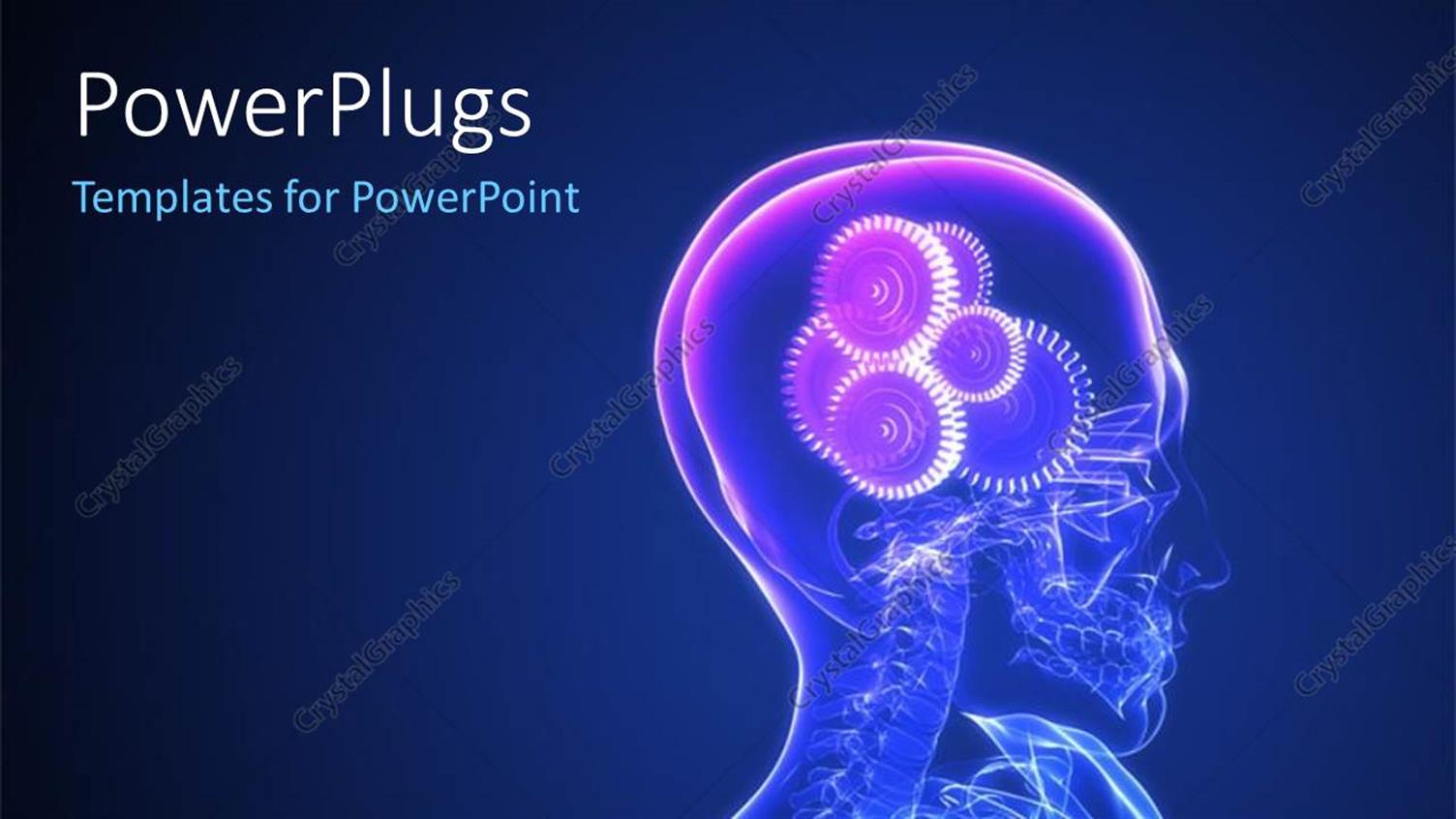 Premium Template for PowerPoint & Google Slides 