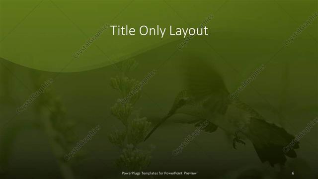 Title Only presentation slide layout