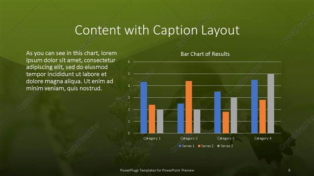 Content with Caption presentation slide layout
