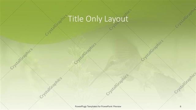 Title Only presentation slide layout