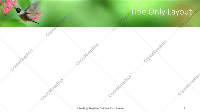 Title Only presentation slide layout