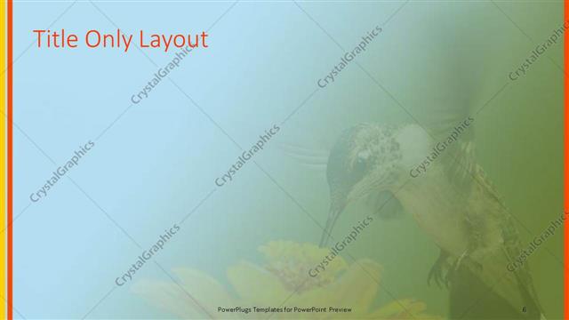 Title Only presentation slide layout