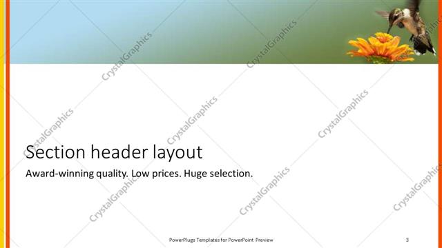 Section Header presentation slide layout