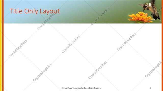 Title Only presentation slide layout