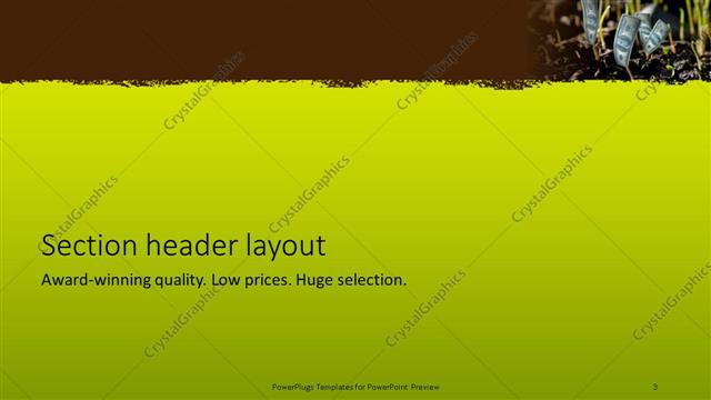 Section Header presentation slide layout