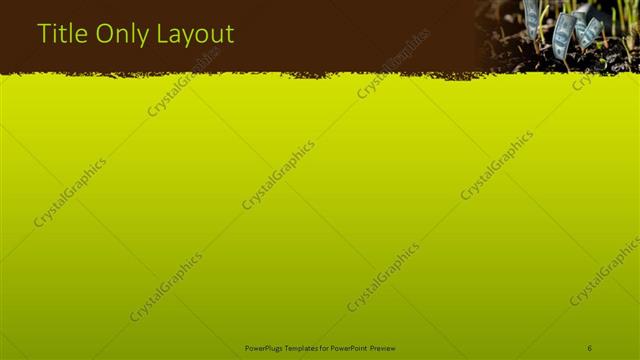 Title Only presentation slide layout