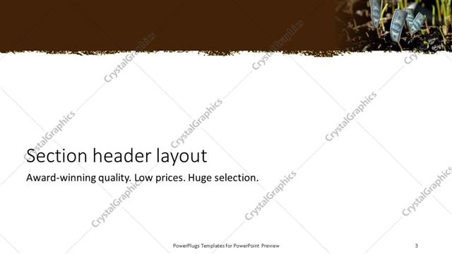 Section Header presentation slide layout
