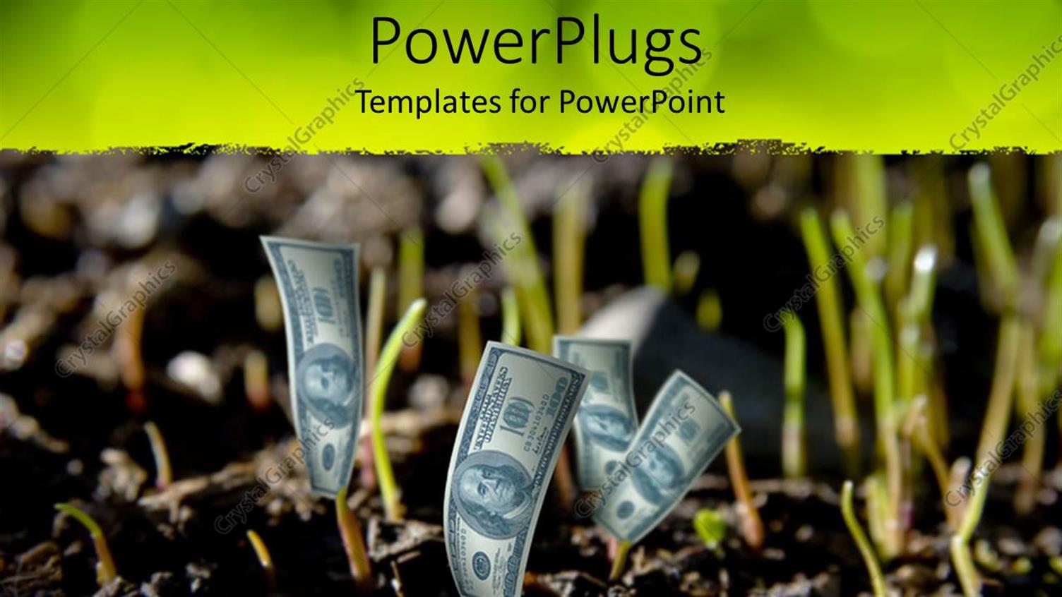 Premium Template for PowerPoint & Google Slides 