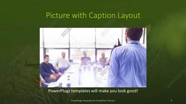 Picture with Caption presentation slide layout