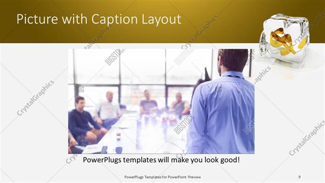 Picture with Caption presentation slide layout
