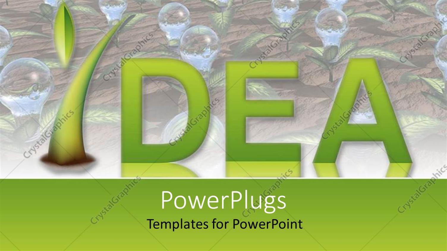 Premium Template for PowerPoint & Google Slides 