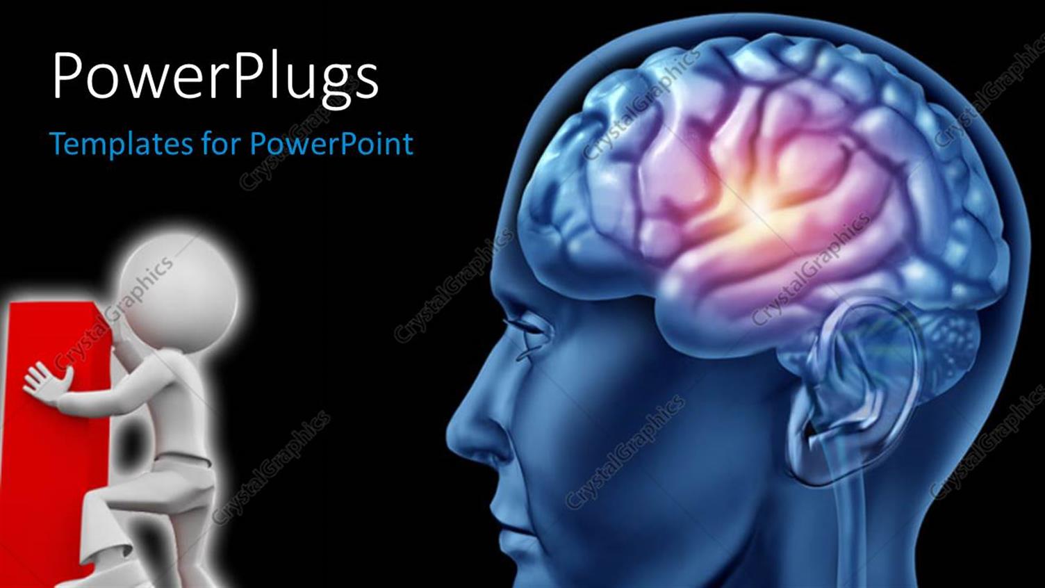 Premium Template for PowerPoint & Google Slides 