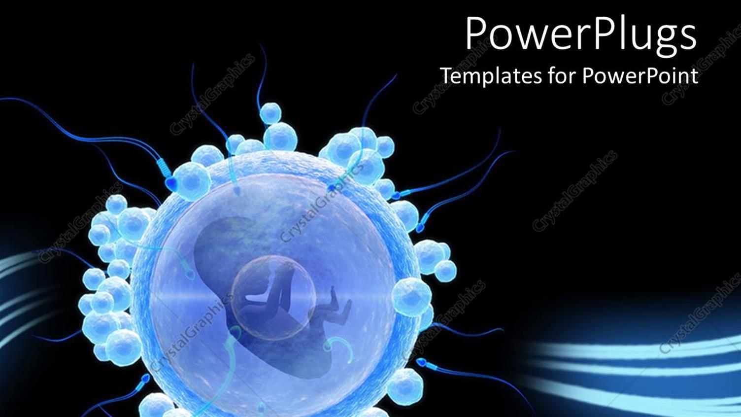 Featuring Isolated Egg Cell with Embryo on Black Background