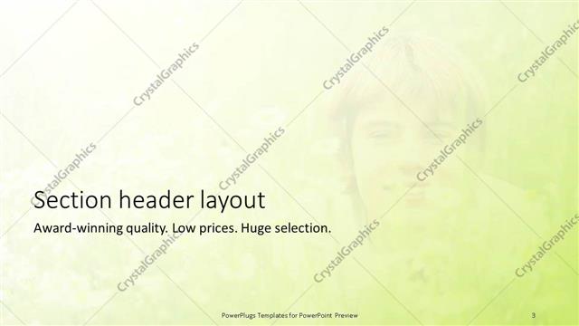 Section Header presentation slide layout