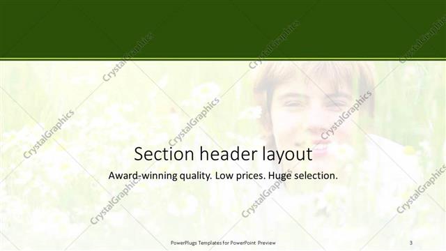 Section Header presentation slide layout