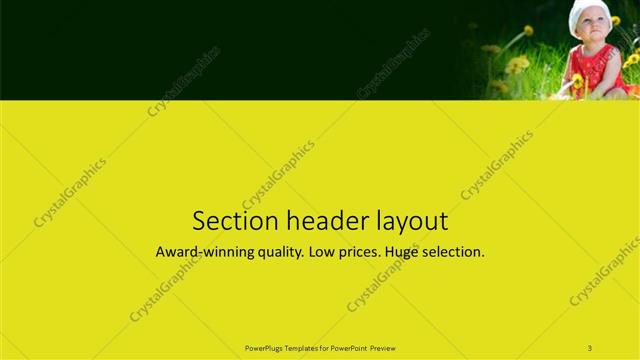 Section Header presentation slide layout