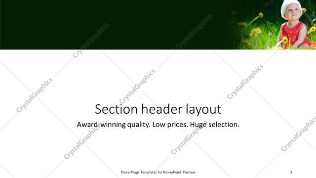 Section Header presentation slide layout