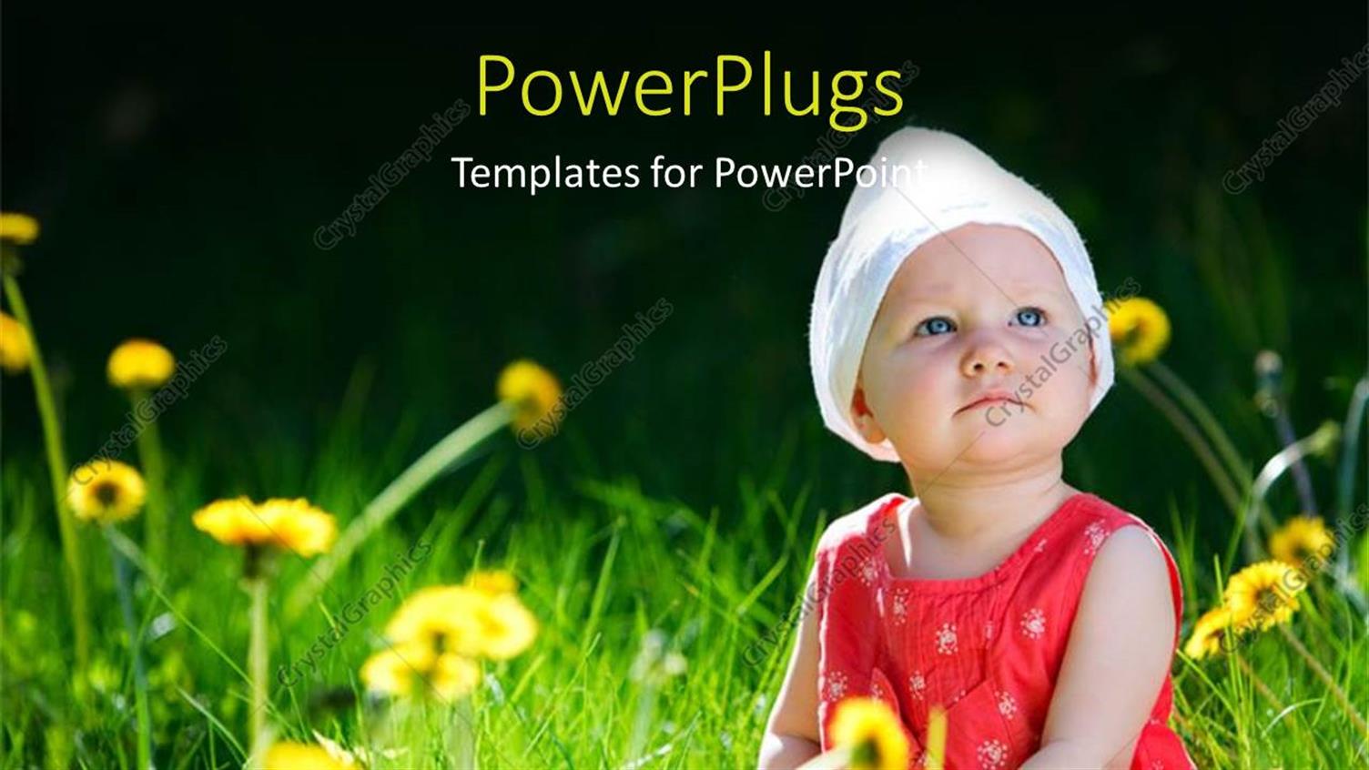 Premium Template for PowerPoint & Google Slides 