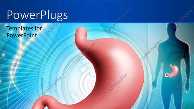  Presentation with pink blue - Kidney in pink color with human body over blue background