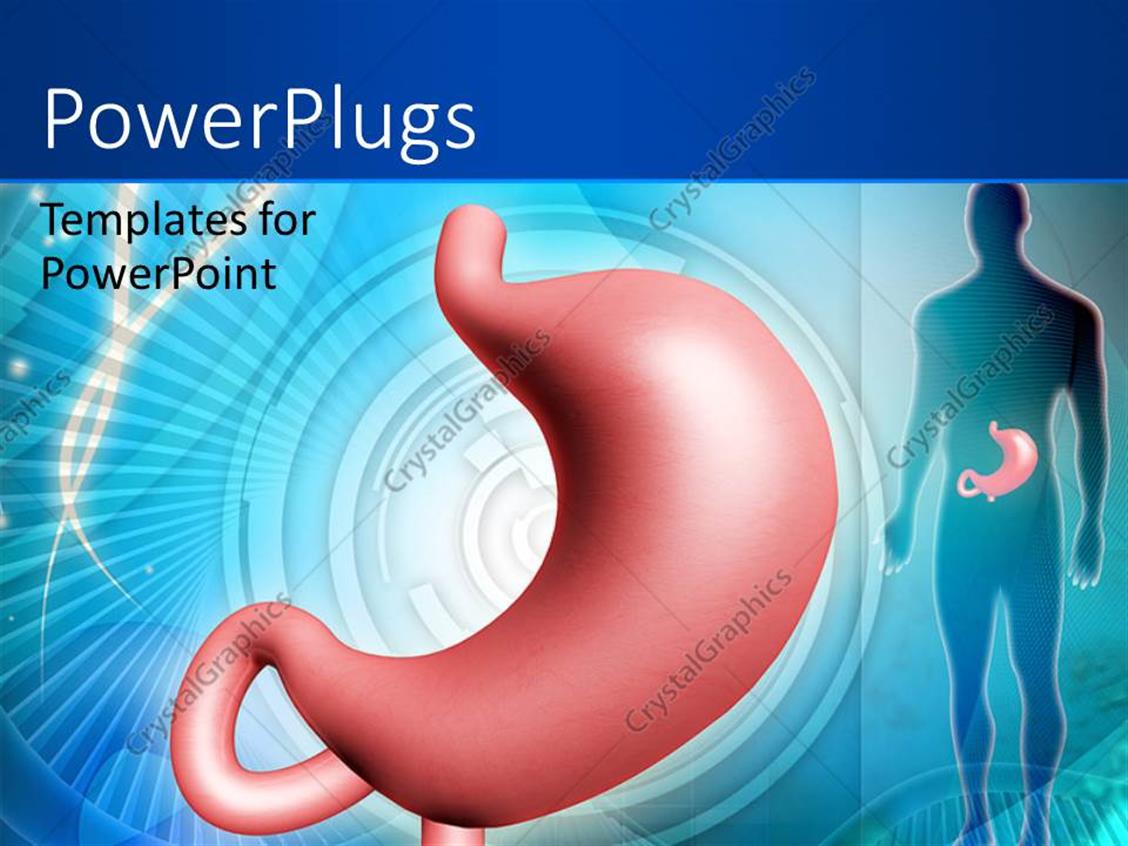 PowerPoint Template Kidney In Pink Color With Human Body Over Blue 