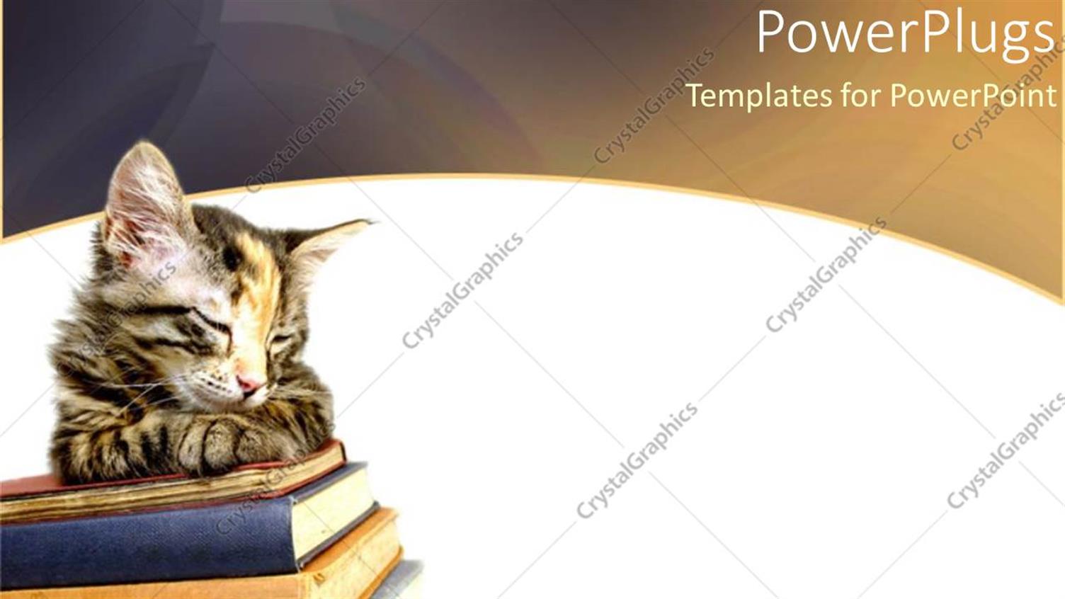 Premium Template for PowerPoint & Google Slides 