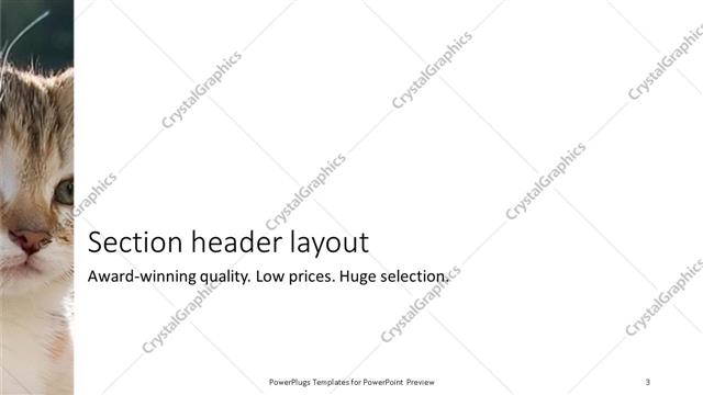 Section Header presentation slide layout
