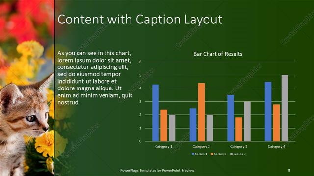 Content with Caption presentation slide layout