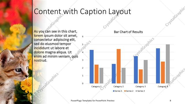 Content with Caption presentation slide layout
