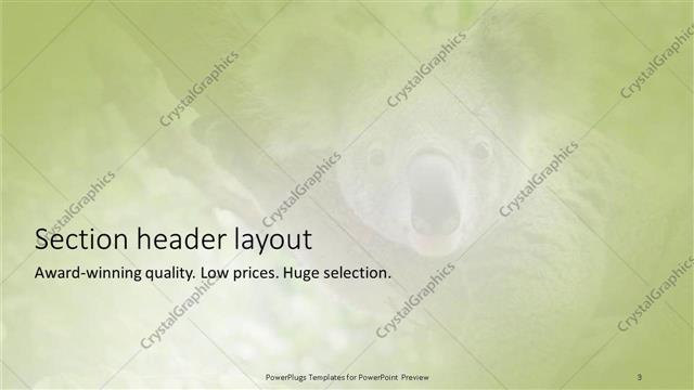 Section Header presentation slide layout