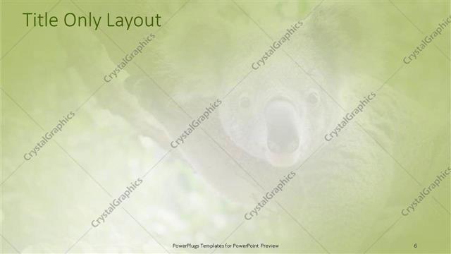 Title Only presentation slide layout