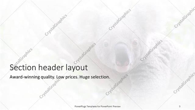 Section Header presentation slide layout