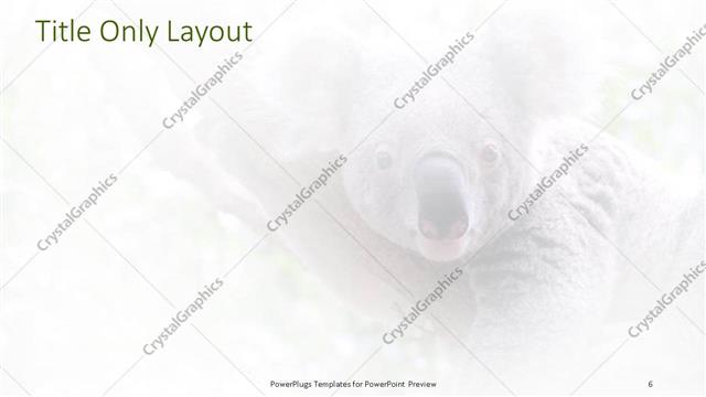 Title Only presentation slide layout