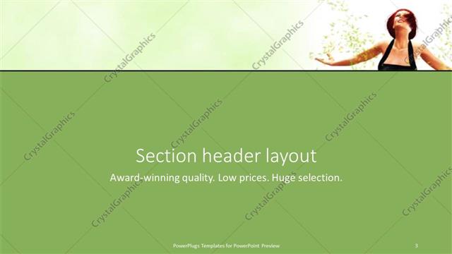 Section Header presentation slide layout