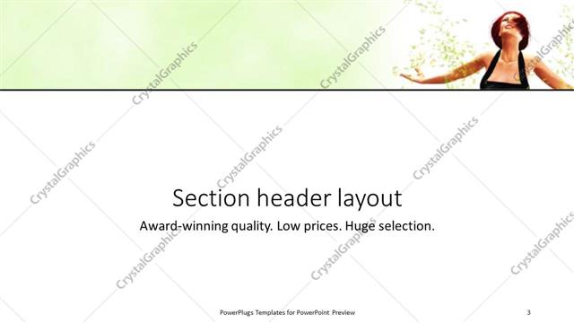 Section Header presentation slide layout