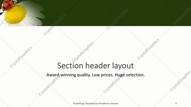 Section Header presentation slide layout