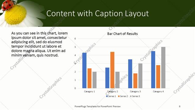Content with Caption presentation slide layout
