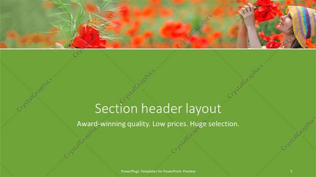Section Header presentation slide layout