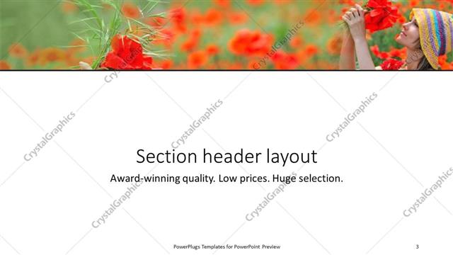 Section Header presentation slide layout