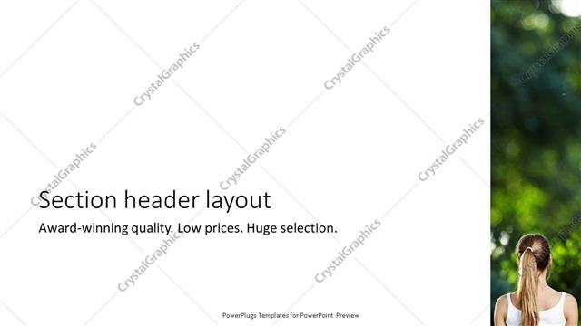 Section Header presentation slide layout